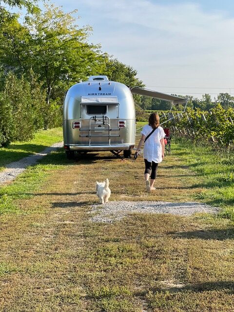 Our test campout before the big trip